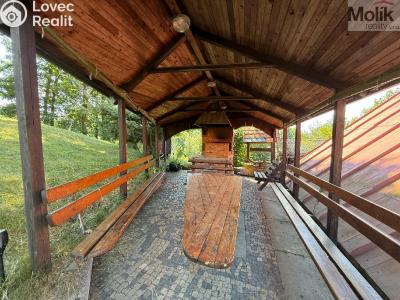Sale hut Bořislav č. 7