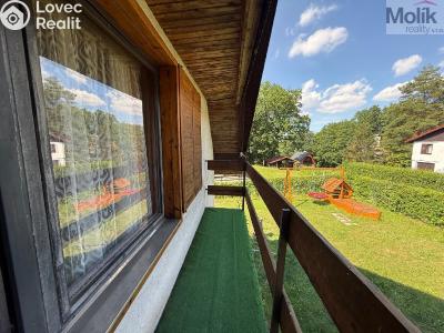 Sale hut Bořislav č. 25