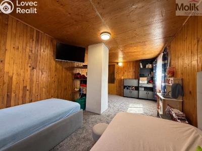 Sale hut Bořislav č. 28