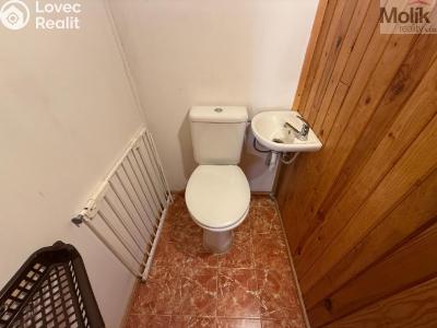 Sale hut Bořislav č. 30