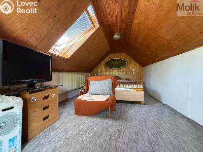 Sale hut Bořislav č. 32