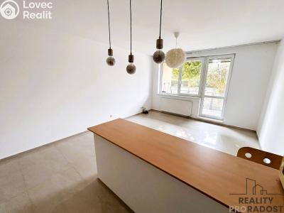 Аренда квартиры 1+KK Praha, U Hostavického potoka č. 4