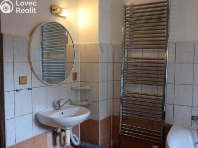Аренда квартиры 3+KK Stašov č. 12