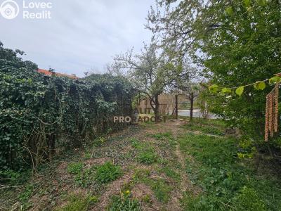 Sale family house Šardice č. 1