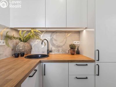 Продаж квартири 1+KK Praha, Tovární č. 3