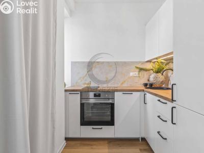 Продаж квартири 1+KK Praha, Tovární č. 7