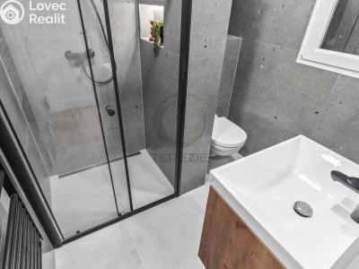 Продаж квартири 1+KK Praha, Tovární č. 8