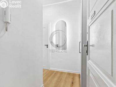 Продаж квартири 1+KK Praha, Tovární č. 9