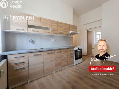 Pronájem bytu 2+1 Teplice, Havlíčkova č. 4