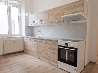 Pronájem bytu 2+1 Teplice, Havlíčkova č. 1