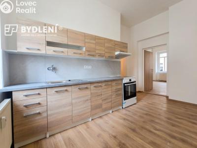 Pronájem bytu 2+1 Teplice, Havlíčkova č. 5