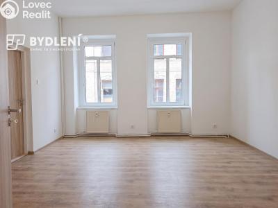 Pronájem bytu 2+1 Teplice, Havlíčkova č. 8