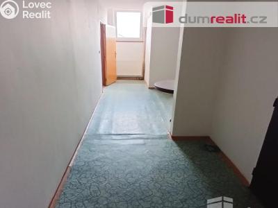 Rent apartment 2+1 Děčín, Vilsnická č. 4