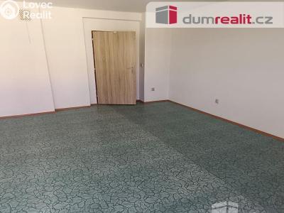 Rent apartment 2+1 Děčín, Vilsnická č. 7