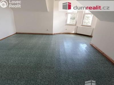 Rent apartment 2+1 Děčín, Vilsnická č. 8