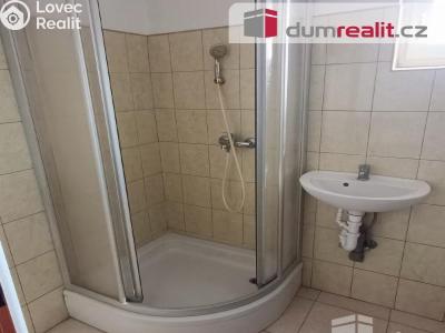 Rent apartment 2+1 Děčín, Vilsnická č. 11