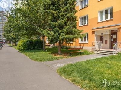 Продаж квартири 3+1 Sokolov, Marie Majerové č. 19