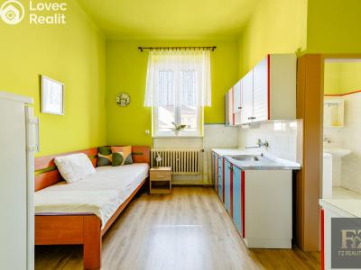 Prodej bytu 3+1 České Budějovice, Žižkova tř. č. 21