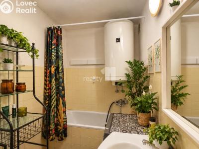 Продаж квартири 1+1 Chyšky č. 13