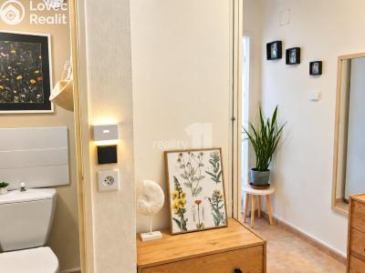 Продаж квартири 1+1 Chyšky č. 12