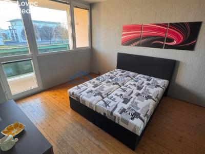 Продажа квартиры 1+1 Plzeň, Čermákova č. 5
