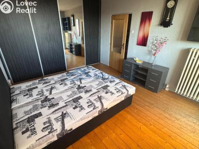 Продажа квартиры 1+1 Plzeň, Čermákova č. 10