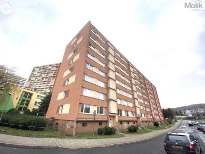 Pronájem bytu 1+1 Chomutov, Kundratická 4479 č. 1