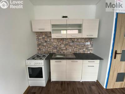 Pronájem bytu 1+1 Chomutov, Kundratická 4479 č. 3