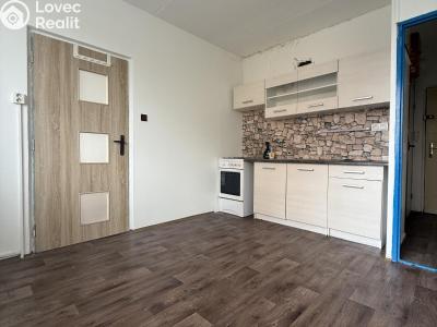 Pronájem bytu 1+1 Chomutov, Kundratická 4479 č. 4