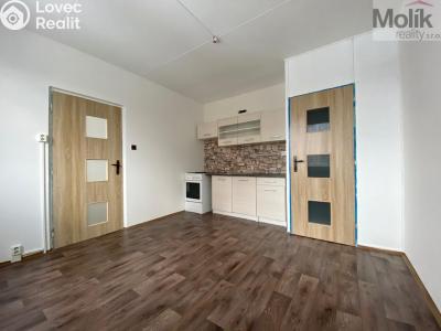 Pronájem bytu 1+1 Chomutov, Kundratická 4479 č. 5