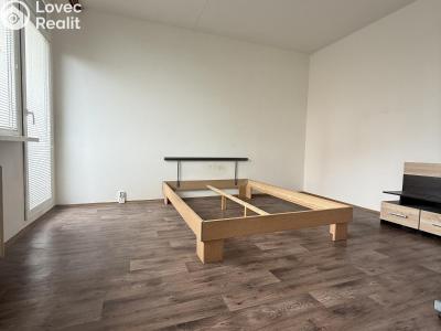 Pronájem bytu 1+1 Chomutov, Kundratická 4479 č. 7