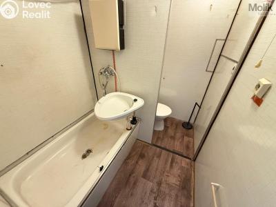 Pronájem bytu 1+1 Chomutov, Kundratická 4479 č. 9
