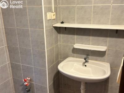 Pronájem bytu 1+1 Toužim, Farní č. 4