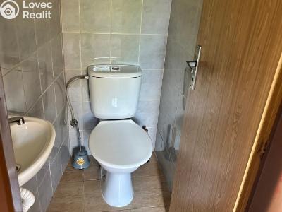 Pronájem bytu 1+1 Toužim, Farní č. 6