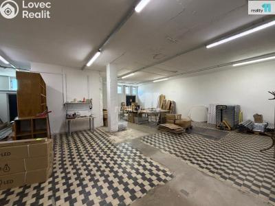 Rent commercial space Česká Lípa, Okružní č. 5