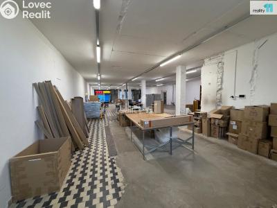 Rent commercial space Česká Lípa, Okružní č. 6
