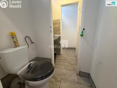 Rent commercial space Česká Lípa, Okružní č. 10