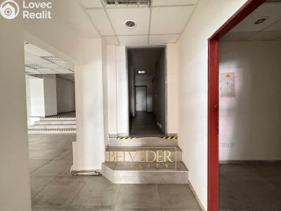 Rent commercial space Teplice, Masarykova třída č. 9