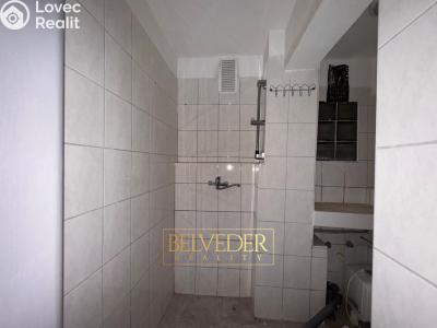 Rent commercial space Teplice, Masarykova třída č. 17