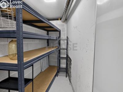 Prodej bytu 3+KK Praha, Dostalové č. 13