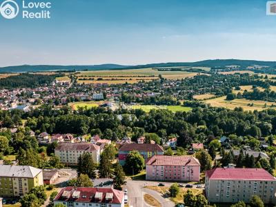 Prodej bytu 3+1 Tachov, Pod Svahem č. 14