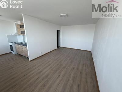 Pronájem bytu 1+KK Most, Rozmarýnová č. 2
