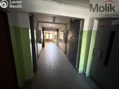 Pronájem bytu 1+KK Most, Rozmarýnová č. 10