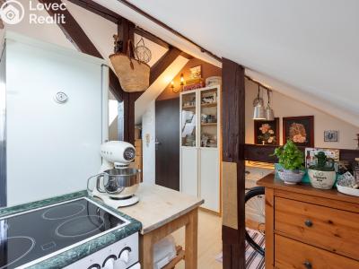 Rent apartment 3+KK Praha, Křižíkova č. 10