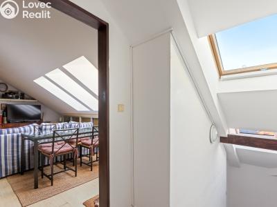 Rent apartment 3+KK Praha, Křižíkova č. 13