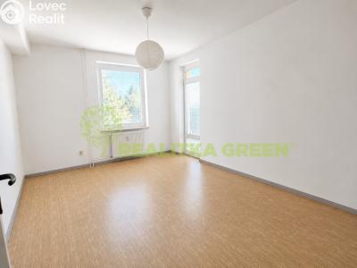 Rent apartment 3+1 Valašské Meziříčí, Luční 1338 č. 5