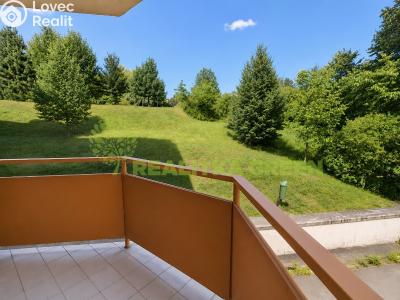 Rent apartment 3+1 Valašské Meziříčí, Luční 1338 č. 10