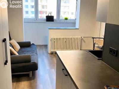 Аренда квартиры 1+KK Praha, Děčínská č. 2