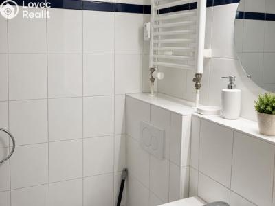Аренда квартиры 1+KK Praha, Děčínská č. 7