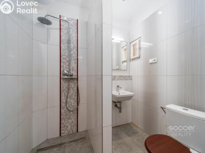 Prodej bytu 1+KK Praha, Čerpadlová č. 8